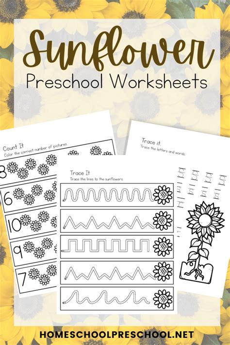 Free S Is For Sunflower Printables For Preschoolers
