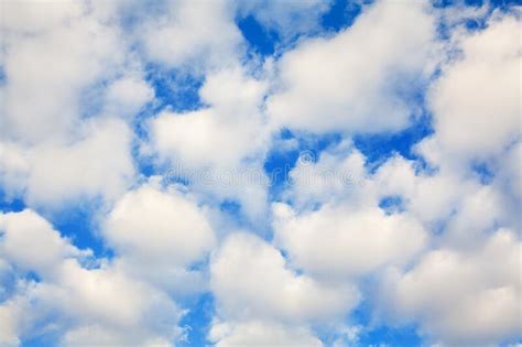 White Cumulus Clouds On Blue Sky Background Close Up Fluffy Cirrus