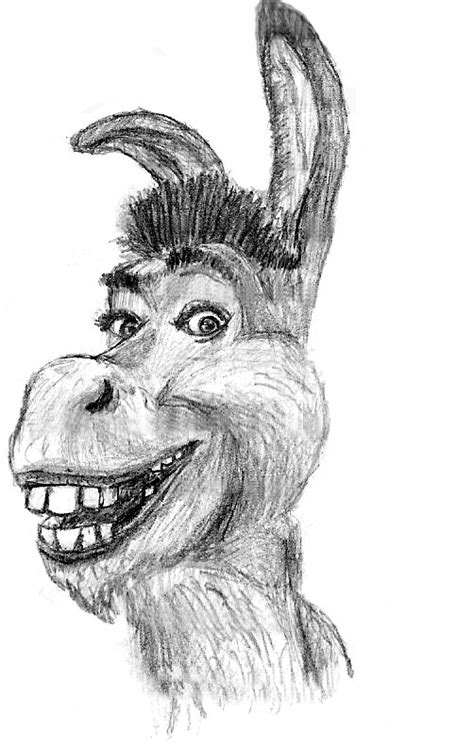 Donkey From Shrek By Susiesan On Deviantart