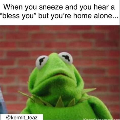Kermit The Frog Funny Pictures