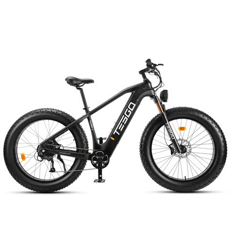 Tesgo Pioneer Step Over Carbon Fiber Fat Tire Electric Bike All About