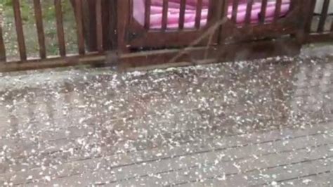 Quarter Sized Hail Pounds Charlotte County Cbc News