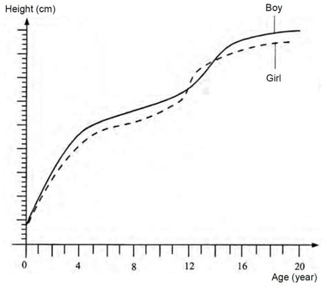 Diagram Shows A Human Growth Curve Teachernotes4u