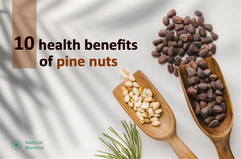 10 Health Benefits Of Pine Nuts Natural Moreish