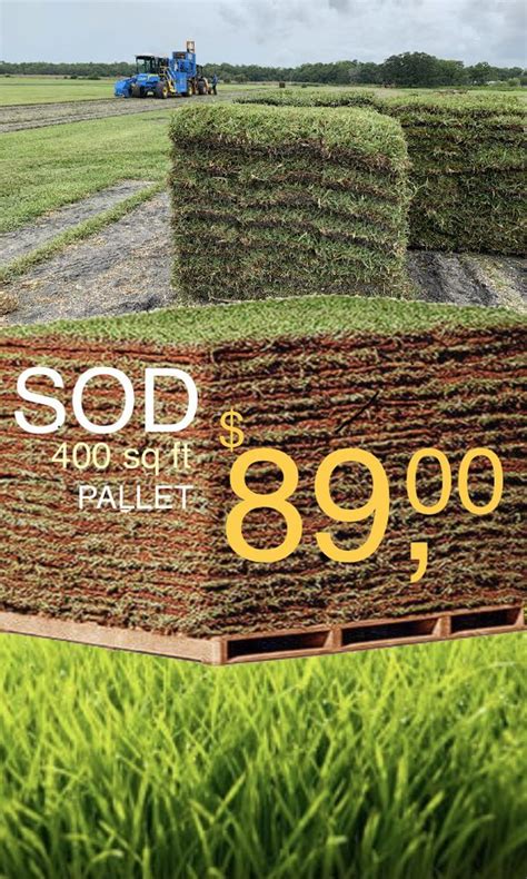 With fewer germinating weed seeds and reliably mild. Fresh sod grass, St Augustine / Bahia / Zoysia, 400sqft, from $ 89.00 pallet for Sale in Orlando ...