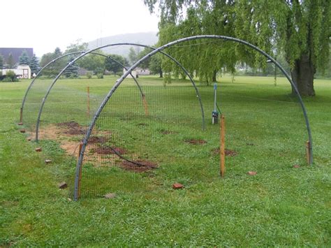 Mesh netting cicada netting for trees 8ftx24ft bird netting for garden mosquito net pest barrier garden mesh plant net protect fruit trees vegetables blueberry. Our netting frame to keep animals from our blueberry ...