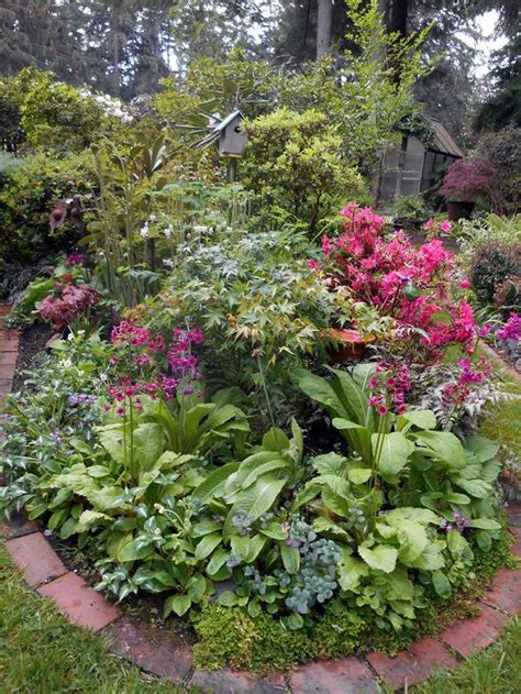 23 Pacific Northwest Shade Garden Ideas You Cannot Miss Sharonsable