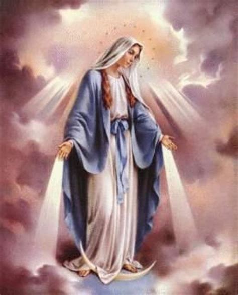 Consolación y esperanza de lo que se . Asunción de La Virgen María al Cielo :: P.M.C.S