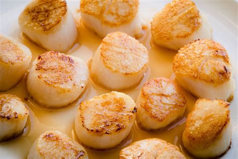 How To Cook Perfect Seared Scallops Busy Cooks Recipe Scallops