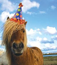 Happy Birthday to Us - The Toast Happy birthday victoria has been added to your cart.