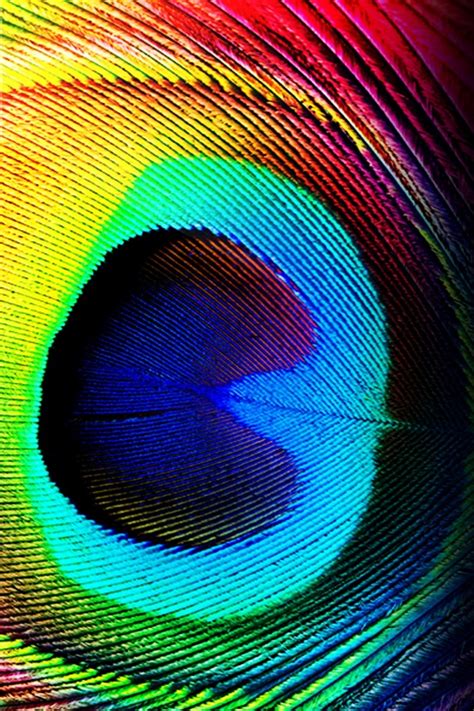 Download iphone 12 wallpapers hd free background images collection, high quality beautiful wallpapers for your mobile phone. 50+ iPad 4 Retina Display Wallpapers on WallpaperSafari