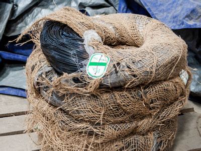 Artikel ini telah dilihat 1.443 kali. Pusat Jual Kawat : Jual kawat murah, paku seng, kawat galvanis, kawat galvanis bwg, kawat ...