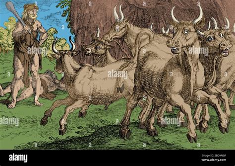 Oxen Of Geryones Fotos Und Bildmaterial In Hoher Aufl Sung Alamy