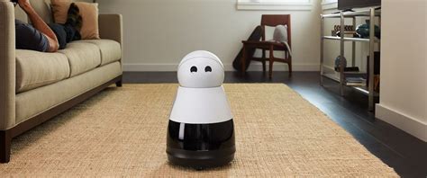 This Robot May Be The Key To Houses Powered By Intelligence