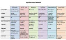 Animales invertebrados - Reino animal