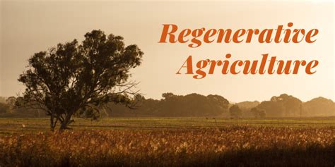 Regenerative Agriculture Integrate Sustainability