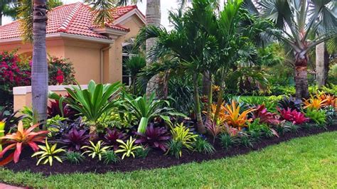 Cheap Florida Backyard Landscape Ideas And Designs For