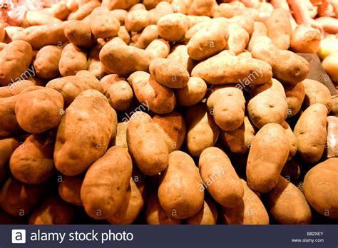 Russet Potatoes Hi Res Stock Photography And Images Alamy