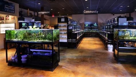 Freshwater Fish Department Saltwater Aquarium Setup Tropical Fish