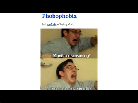 The Best Phobia Memes Memedroid