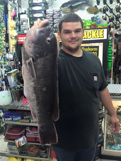 But time is also a factor as the season closes in about four weeks. Betty Nicks Tackle Fishing Report