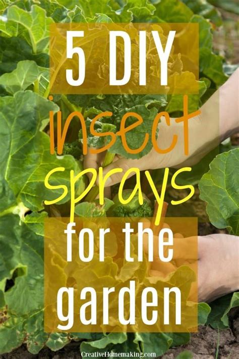 5 Diy Bug Sprays For The Garden Diy Bug Spray Garden