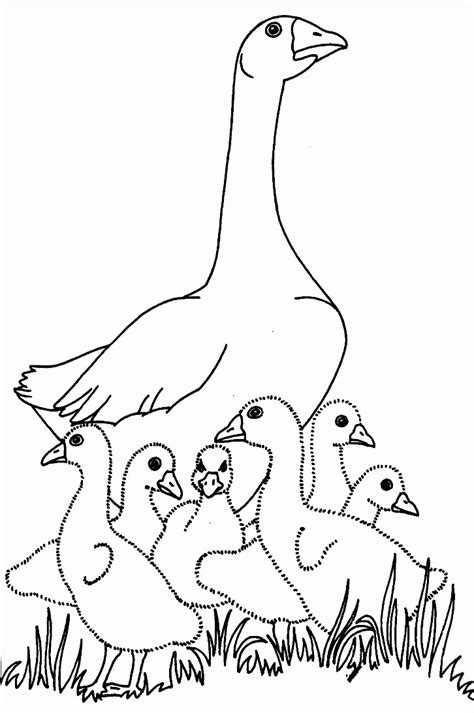 Free Charlotte S Web Coloring Pages - Coloring Home