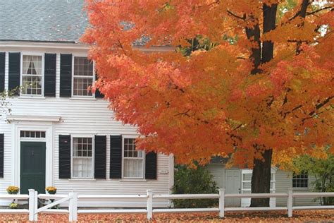 Wonderful Life Farm Autumn Scenes In New England