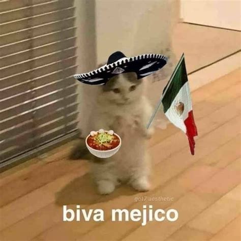 Viva Mexico Meme Funny Images Funny Pictures Funny Pics Mexican