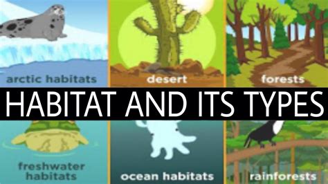 What Is Habitat For Kids Types Of Habitat Youtube