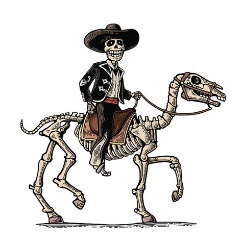 Here is an extraordinary royal burial ritual for the. Horse Skeleton Illustrations, Royalty-Free Vector Graphics ...