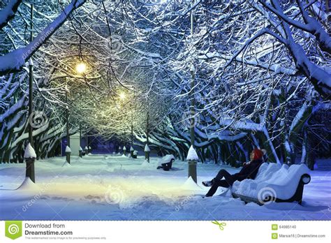 Winter Park At Night Stock Photo Image 64985140