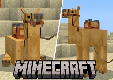 Minecraft Trails & Tales update: What do camels eat
