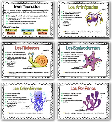 Cartillas de los Animales Invertebrados y sus Características