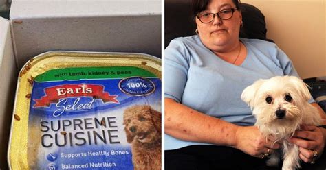 Is aldi dog food healthy? Aldi dog food found crawling with a secret ingredient ...