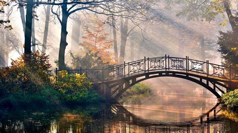 Bridge River Morning Park Dappled Sunlight Trees Fall Landscape