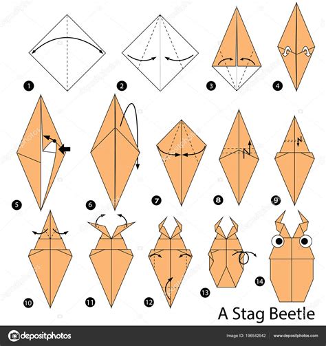 Instrucciones Paso Paso Cómo Hacer Origami Stag Beetle Vector Gráfico