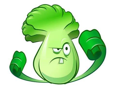 Cabbage Pult Reumvegetable
