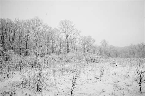 Winter Wonderland In March Charity Stauffer Photography