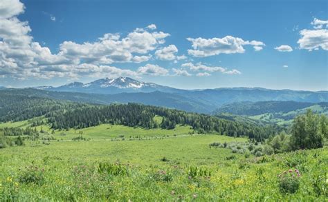 Premium Photo Summer Greenery Of Meadows And Forests And Snow On The