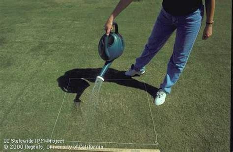 By researching and analyzing the crop diseases and insect pests, we find the distribution and spread of crop diseases and insect pests have tight touch with the time and space information, which provides a premise of applying geography information system (gis) and spatial interpolation. Monitoring for Lawn Insects - Pests in the Urban Landscape ...