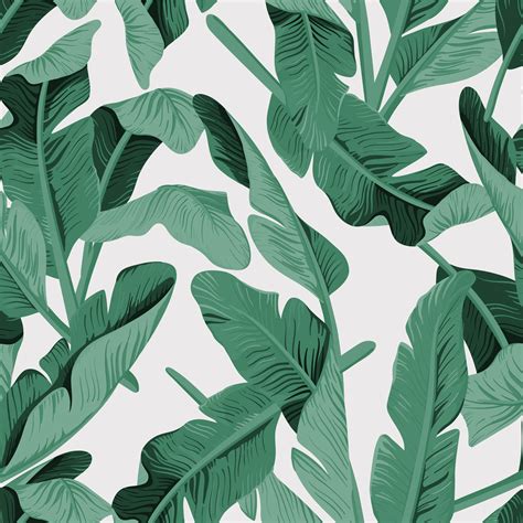 Banana Leaf Wallpaper Rainforest Tropical Green Leaves Etsy