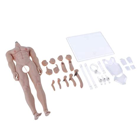 Buy Sharprepublic 16 Scale Super Flexible Muscular Male Body Figure Assembly Steel Skeleton