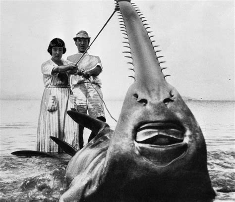 The Weirdest Photo Research Of 2012 The New Yorker