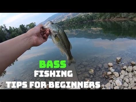 How To Bass Fish From Shore \ EASY bass fishing tips - YouTube