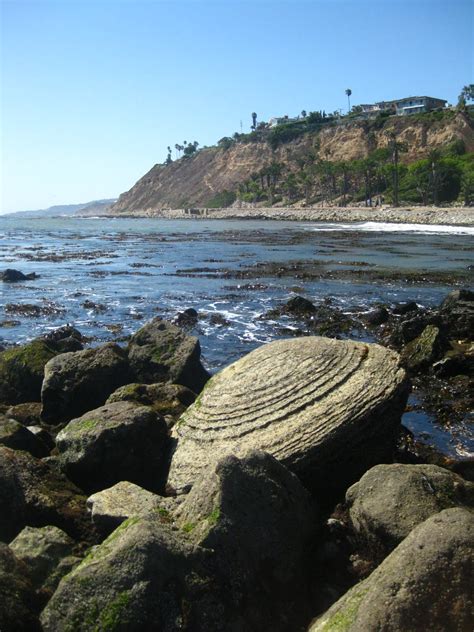 White Point Tide Pools San Pedro August 2011