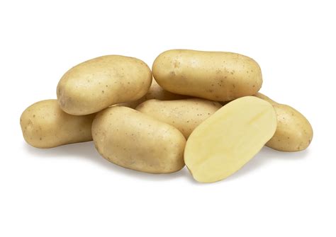 Fenna Agrico Innovatief In Aardappelen