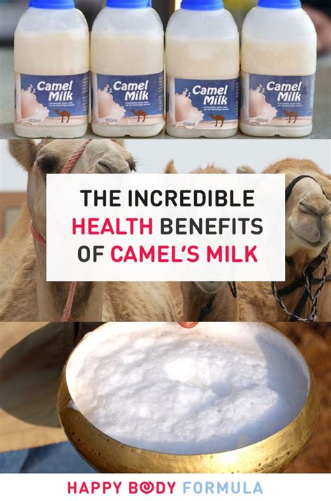 Discover the health benefits, side effects and nutrition facts per 100 ml or 100 g of camel milk and what does camel milk cure. benefits-camel-milk-pin - Happy Body Formula