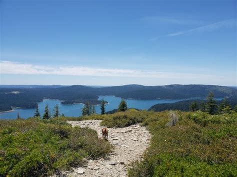 2023 Best Backpacking Trails In Plumas National Forest Alltrails