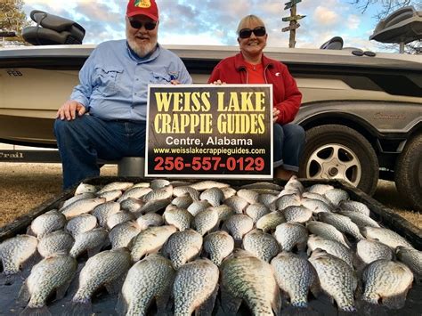 Page 44 Weiss Lake Crappie Guides Photo Gallery Photo Gallery